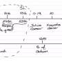 2026-01-24-cm_tmw-_tl-revision_apocalypse_12_1ere_partie-01_n10.jpg