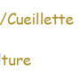 le_cadre_agricole_des_lois_du_divorce_dans_la_bible_2eme_p_n11.png