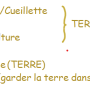 le_cadre_agricole_des_lois_du_divorce_dans_la_bible_2eme_p_n12.png